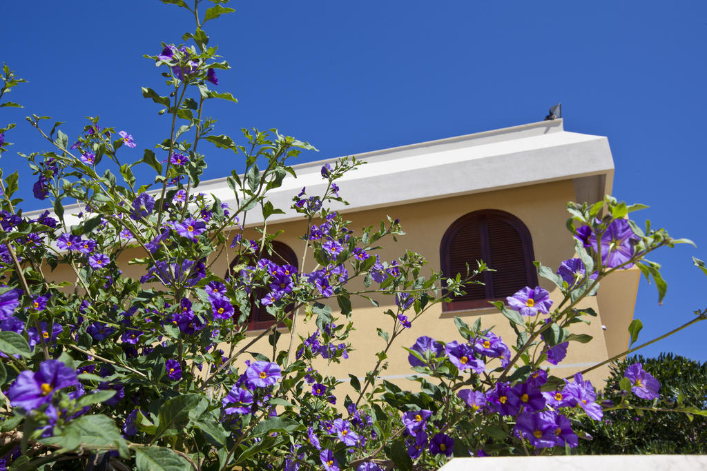Orlando Vacanze Camere Erice Eksteriør billede