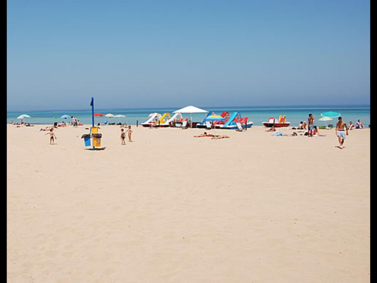 Orlando Vacanze Camere Erice Eksteriør billede